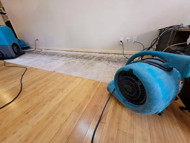 Professional Flood Damage Cleanup technician working in Sandy Hook, MS